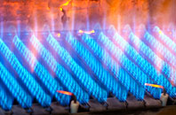 Devonport gas fired boilers